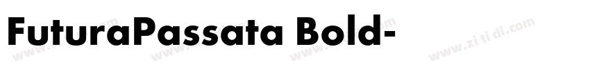 FuturaPassata Bold字体转换